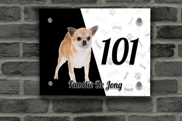 Chihuahua Naambordje 2