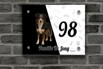 Border Collie Tricolor Naambordje 1