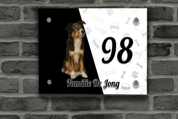 Border Collie Tricolor Naambordje 2