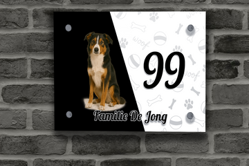 Border Collie Tricolor Naambordje 3