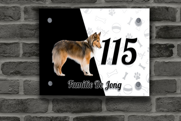 Collie Naambordje 7