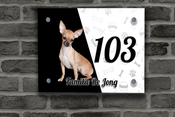 Chihuahua Naambordje 4