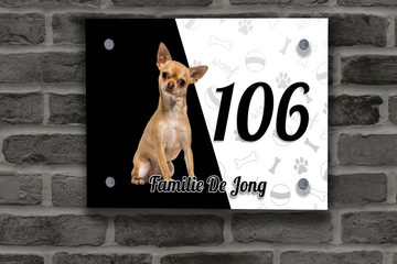 Chihuahua Naambordje 7