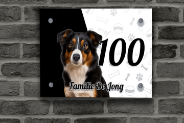 Border Collie Tricolor Naambordje 4