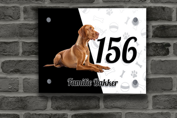Vizsla Naambordje 4