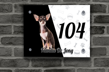 Chihuahua Naambordje 5
