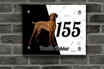 Vizsla Naambordje 3