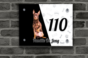 Chihuahua Naambordje 11