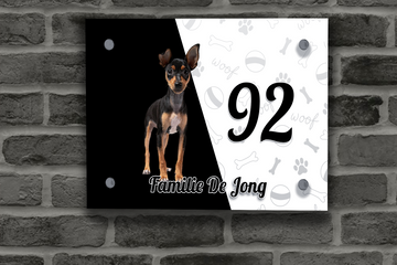 Jack Russell Terriër Naambordje 4