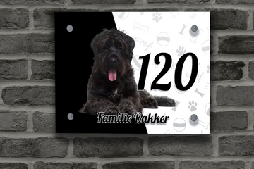Bouvier Naambordje 3
