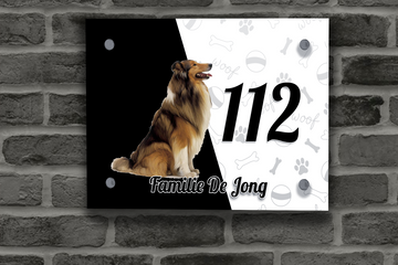 Collie Naambordje 3