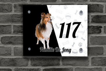 Collie Naambordje 9