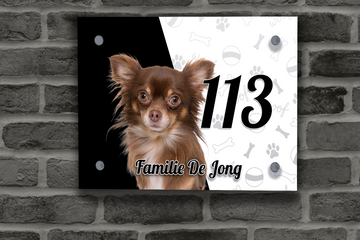Chihuahua Naambordje 14