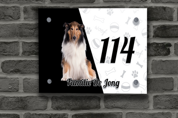 Collie Naambordje 6