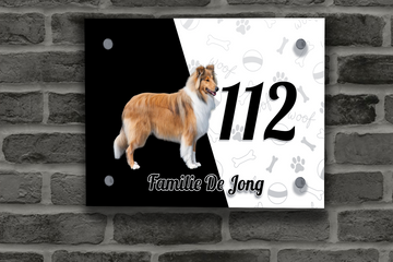 Collie Naambordje 4