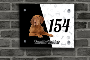 Vizsla Naambordje 2