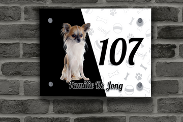 Chihuahua Naambordje 8