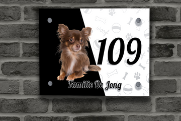 Chihuahua Naambordje 10