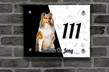 Collie Naambordje 2