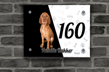 Vizsla Naambordje 8