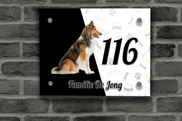 Collie Naambordje 8