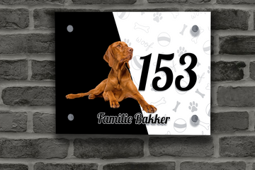Vizsla Naambordje 1