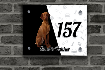 Vizsla Naambordje 5