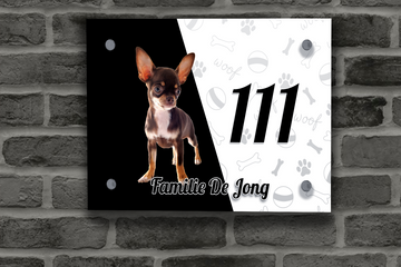 Chihuahua Naambordje 12