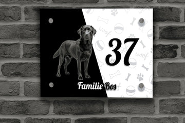 Labrador Retriever Naambordje 6