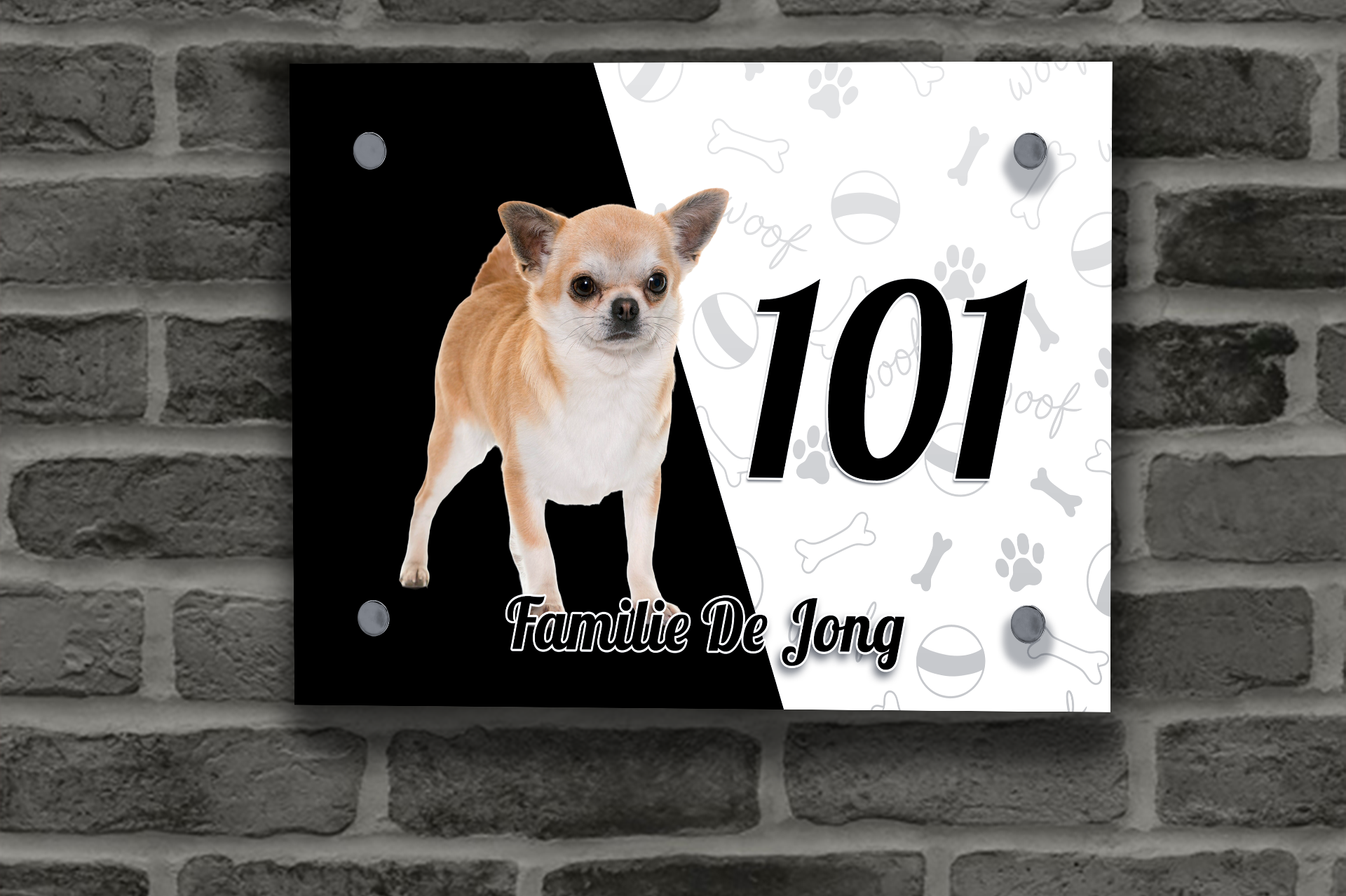 Chihuahua Naambordje 2