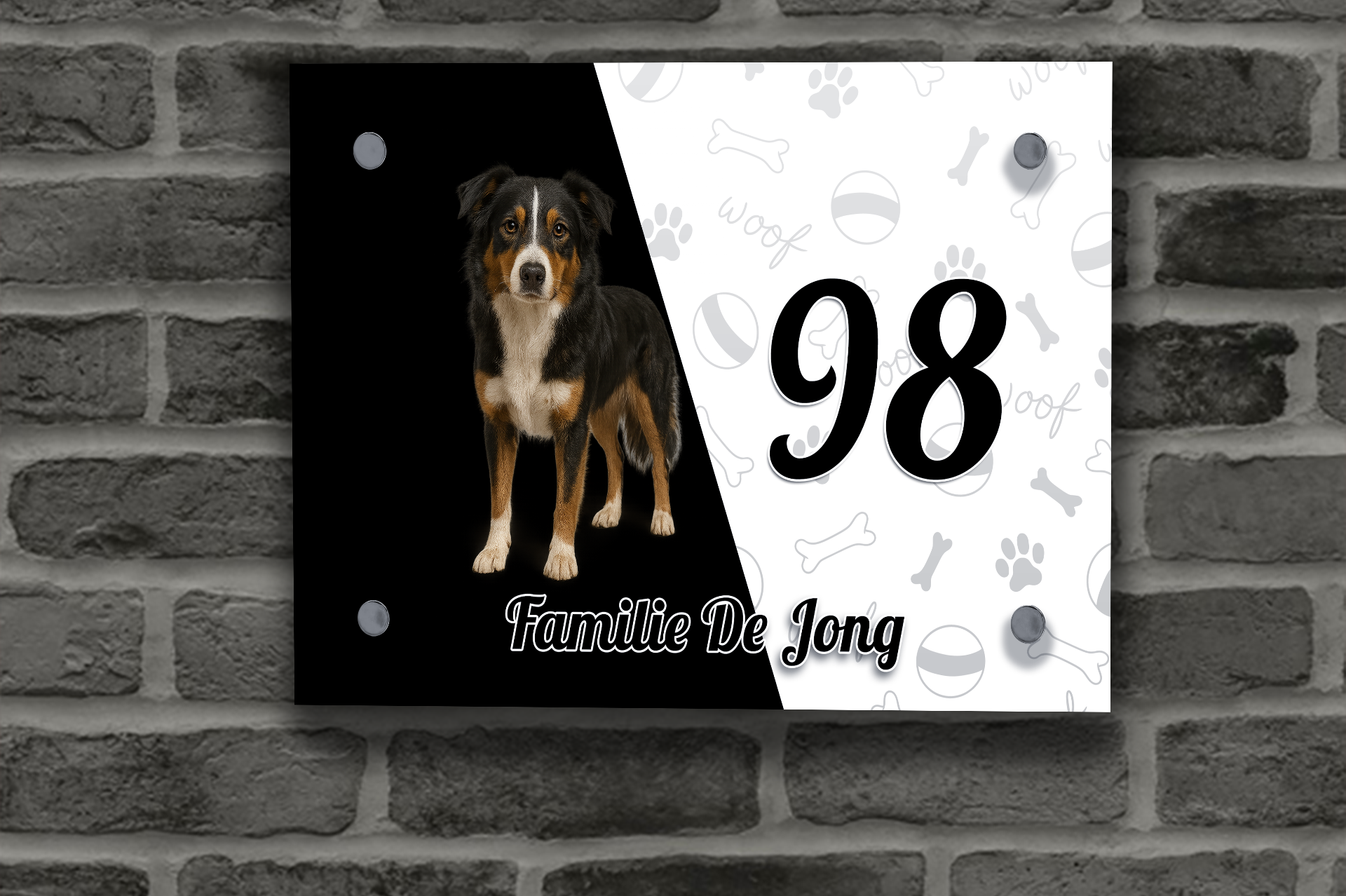 Border Collie Tricolor Naambordje 1