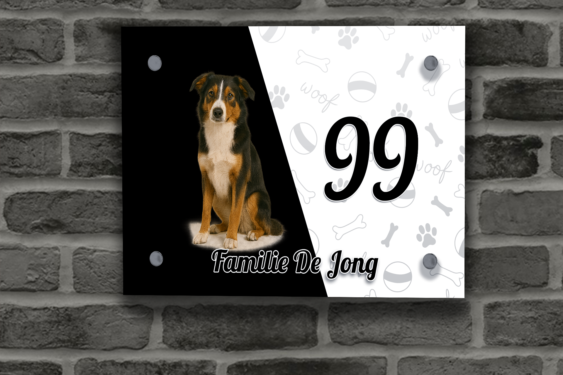 Border Collie Tricolor Naambordje 3