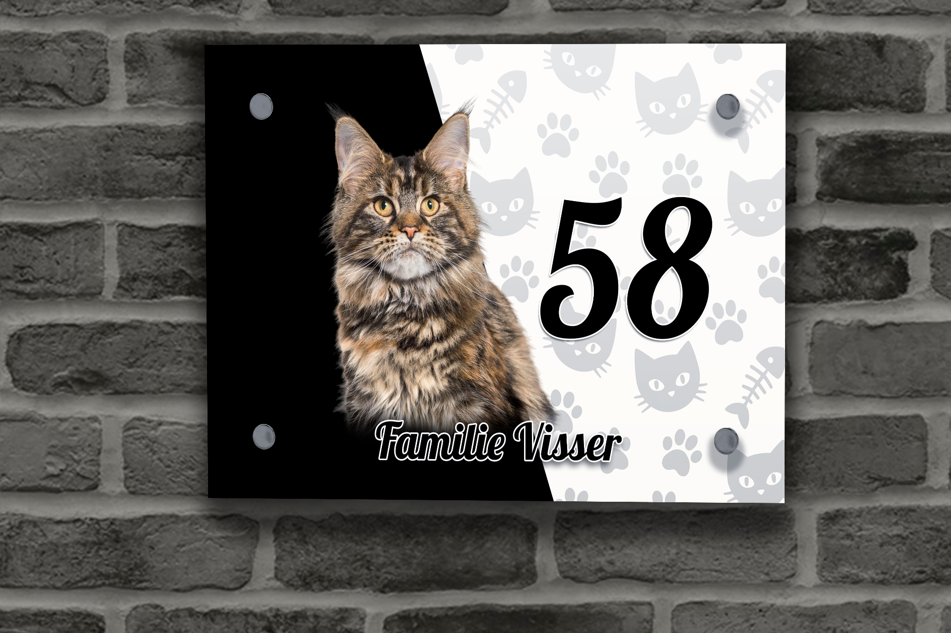Maine Coon Naambordje 4