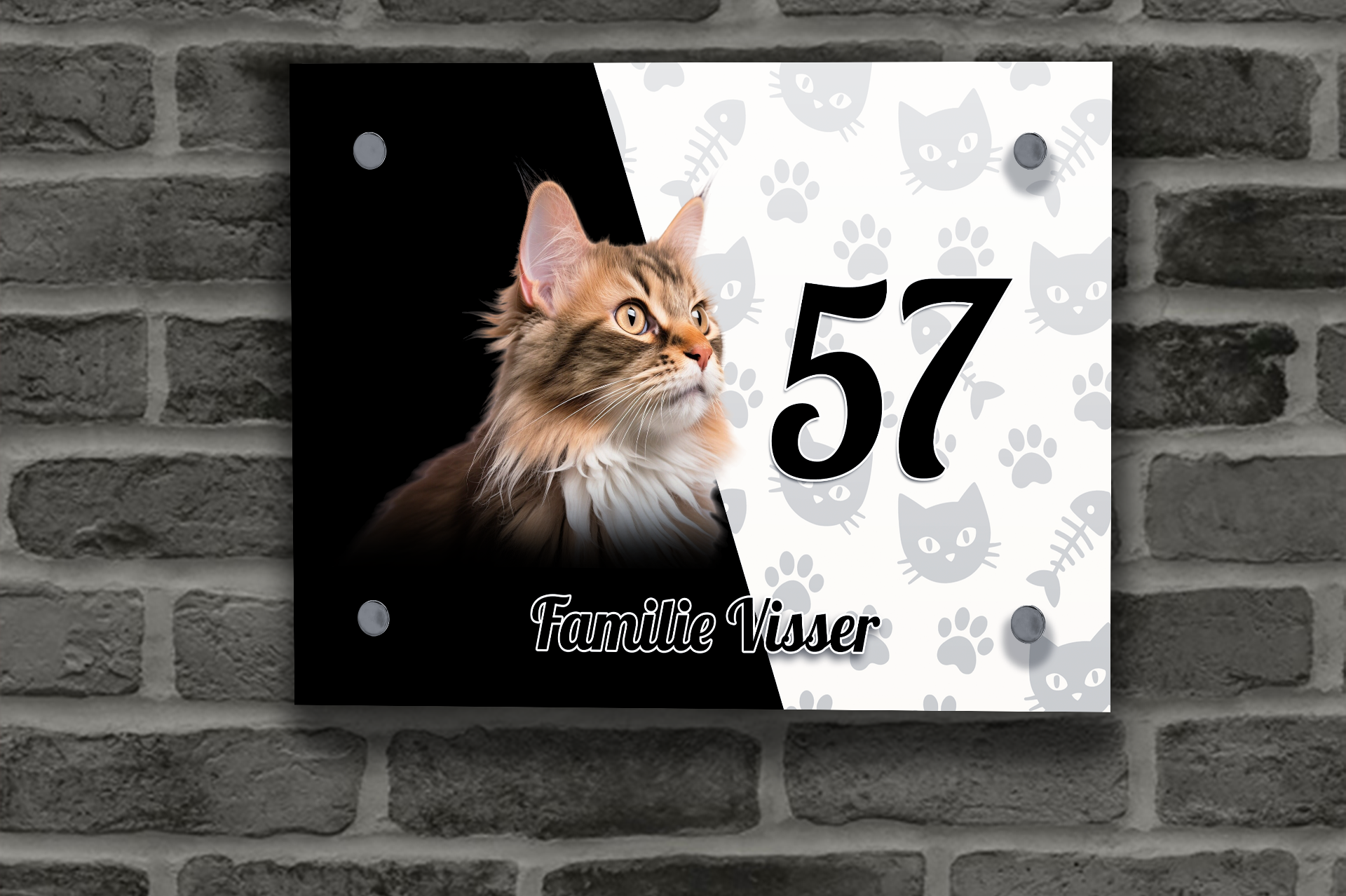 Maine Coon Naambordje 3