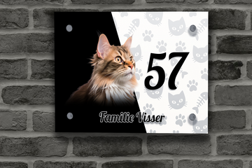 Maine Coon Naambordje 3