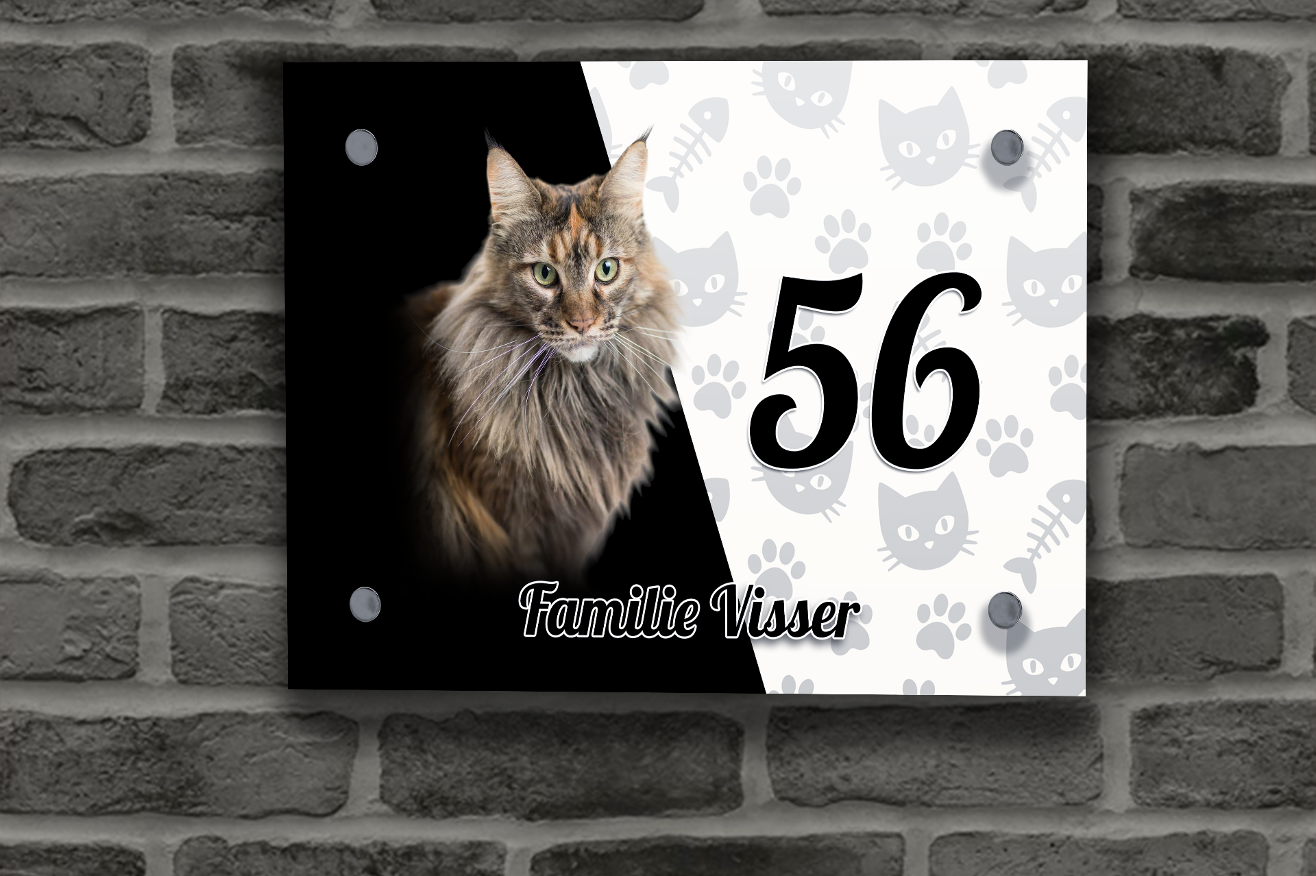 Maine Coon Naambordje 2