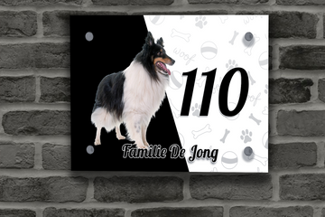 Collie Naambordje 1