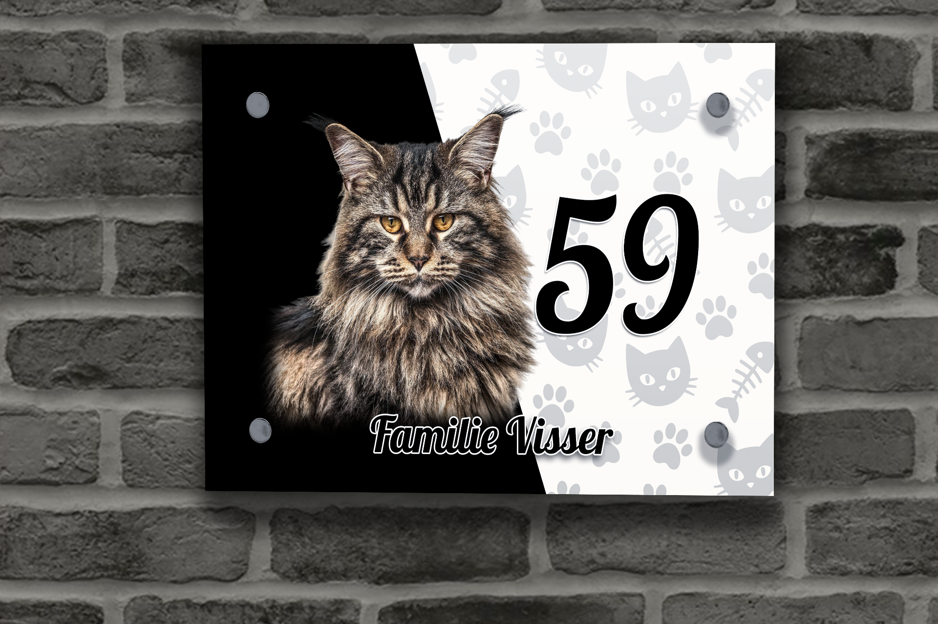 Maine Coon Naambordje 5