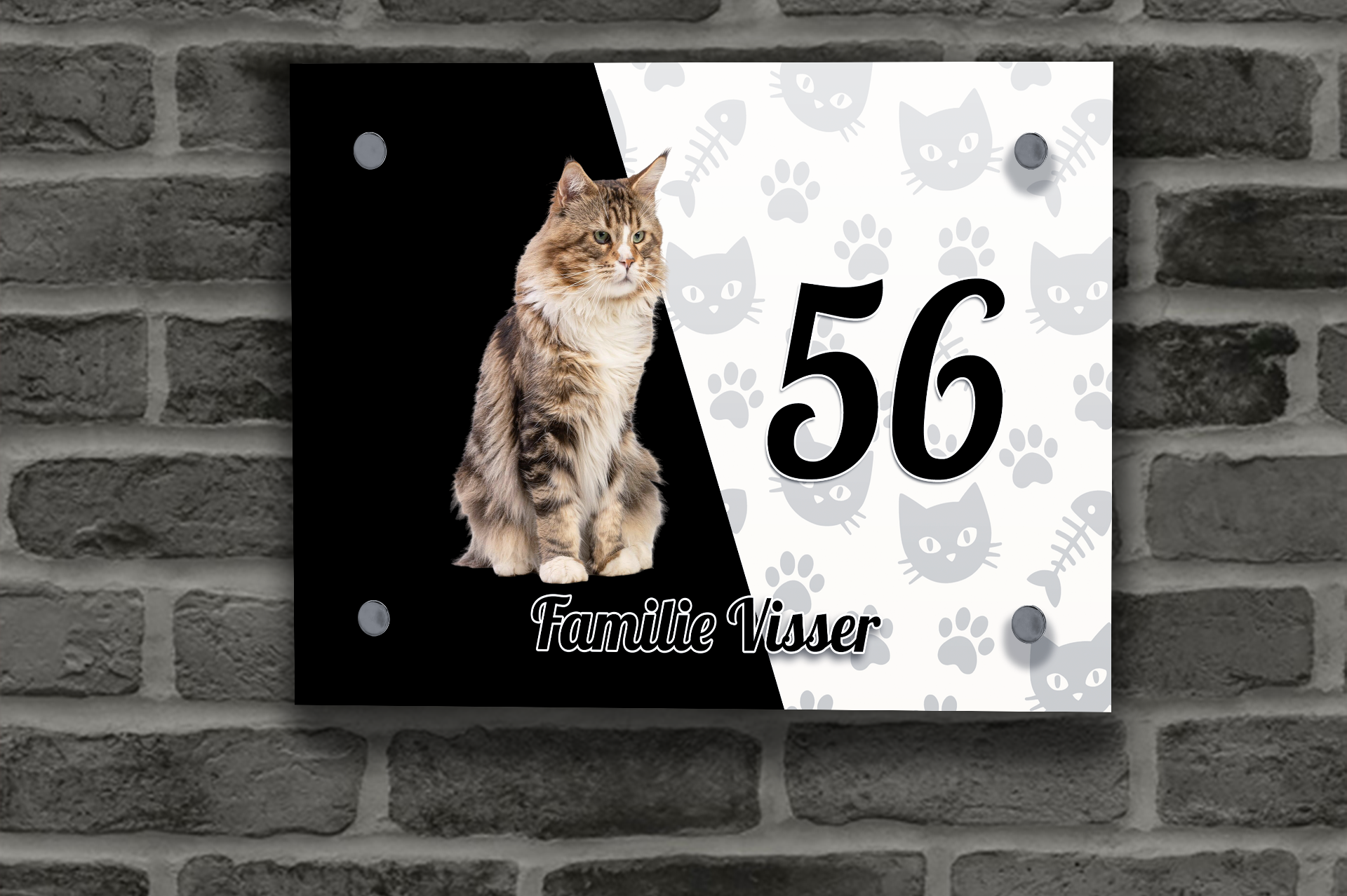 Maine Coon Naambordje 1