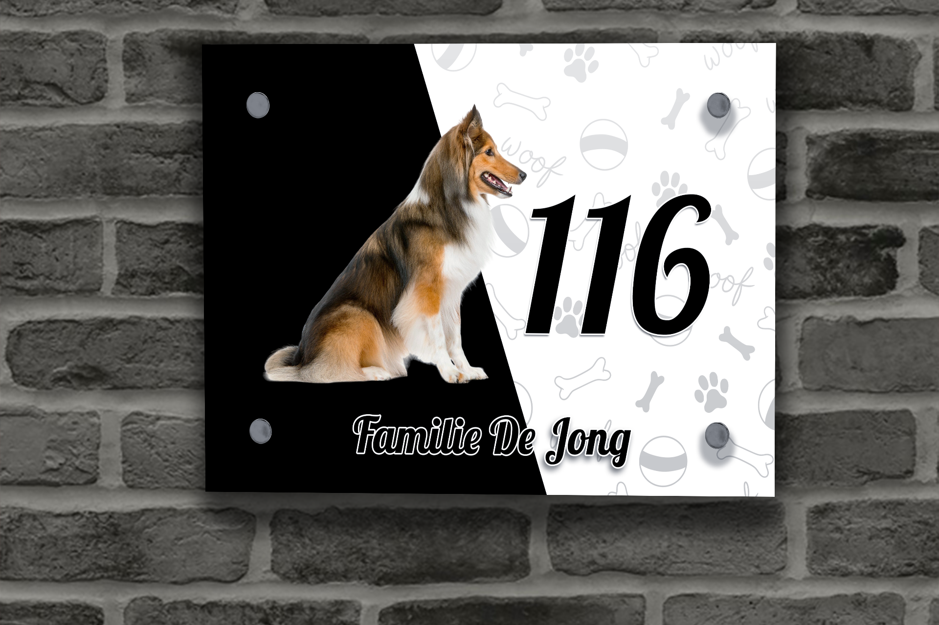 Collie Naambordje 8