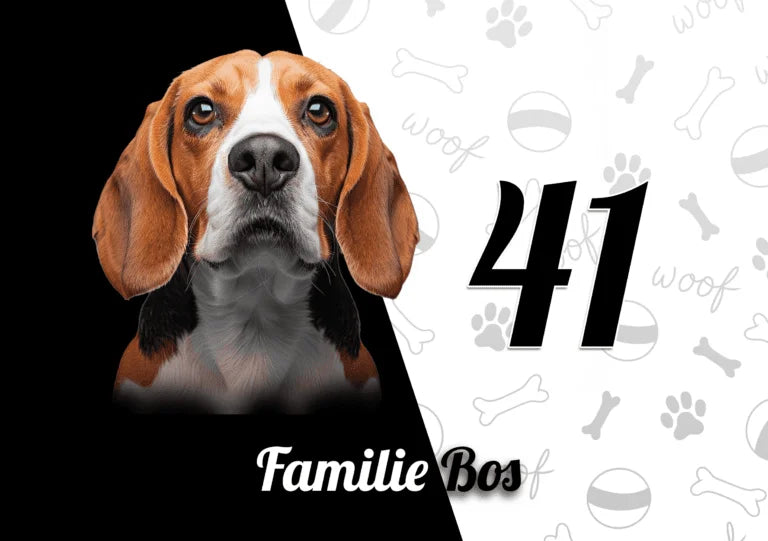 Beagle Naambordje 2