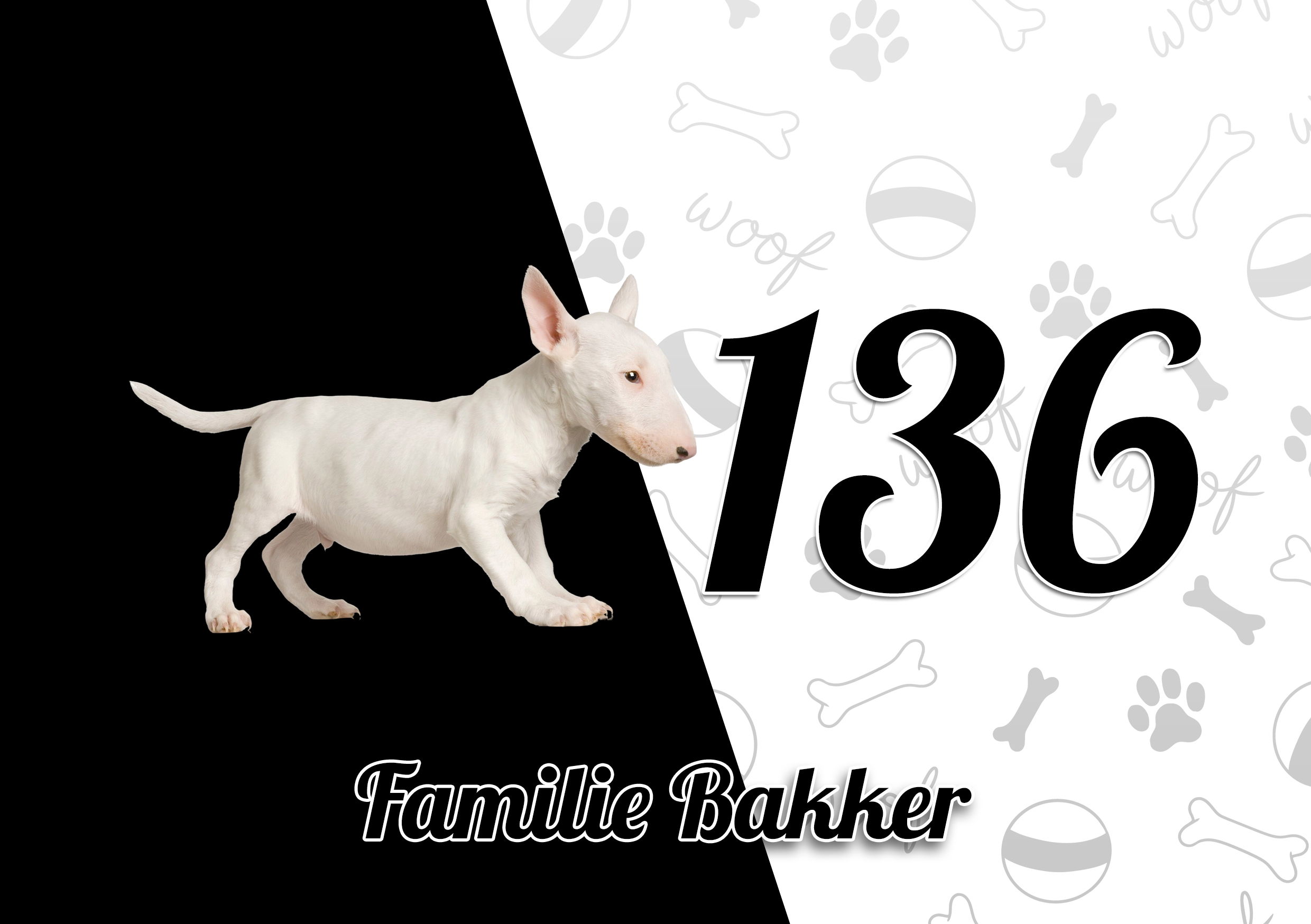 Bull Terriër Naambordje 5