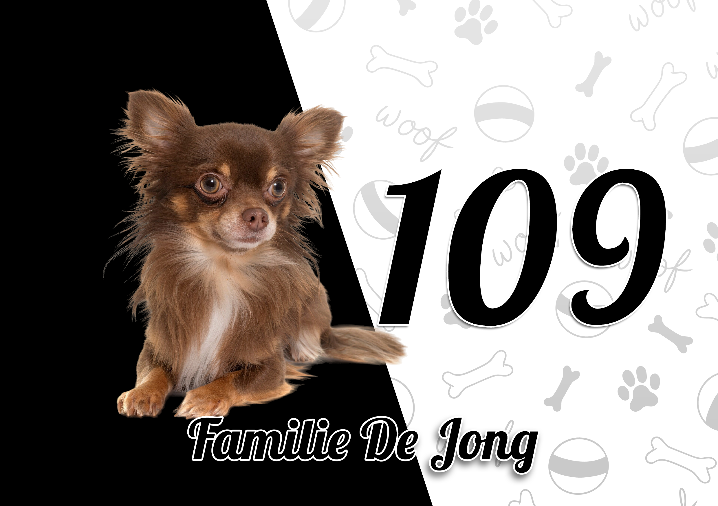 Chihuahua Naambordje 10