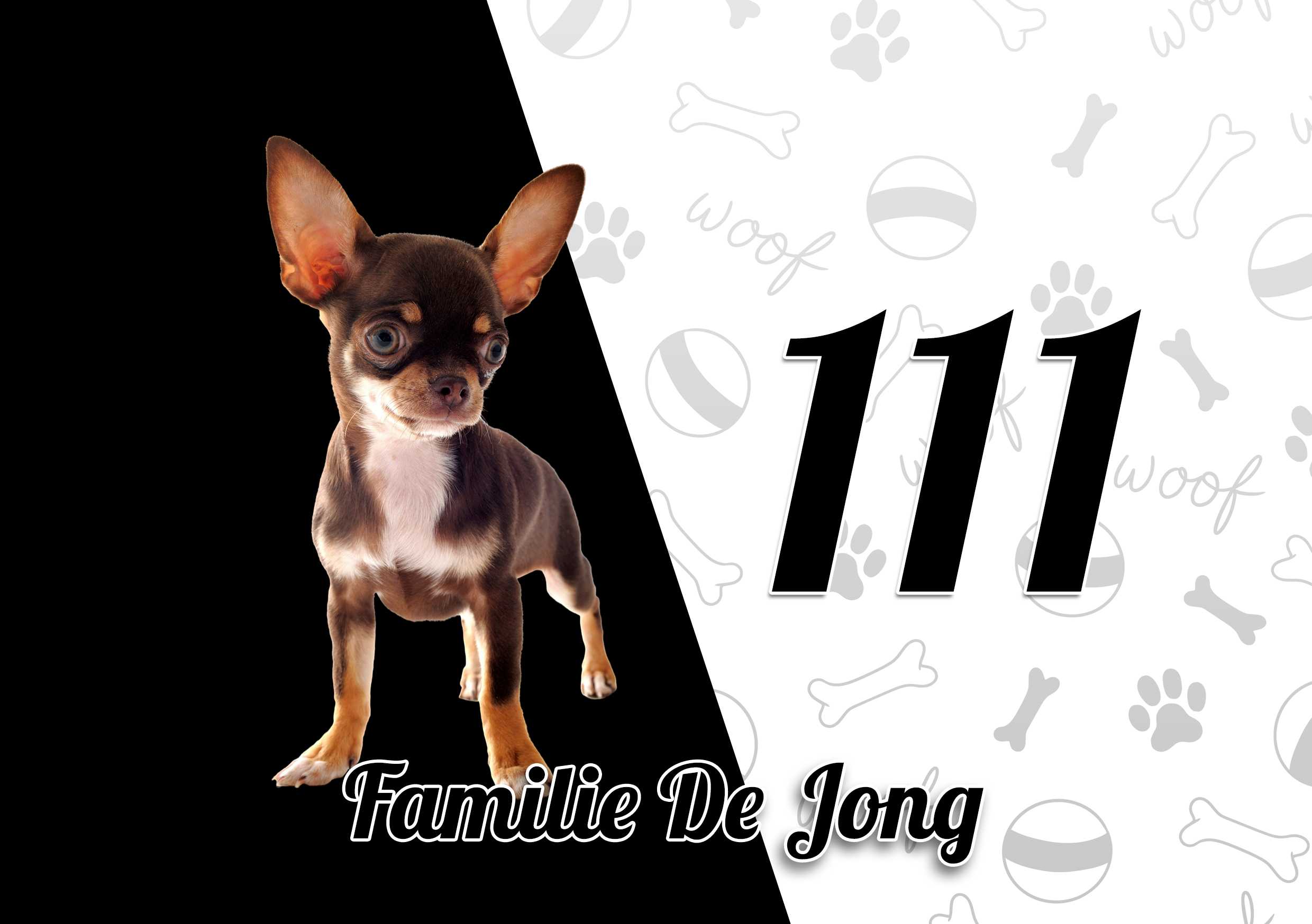 Chihuahua Naambordje 12