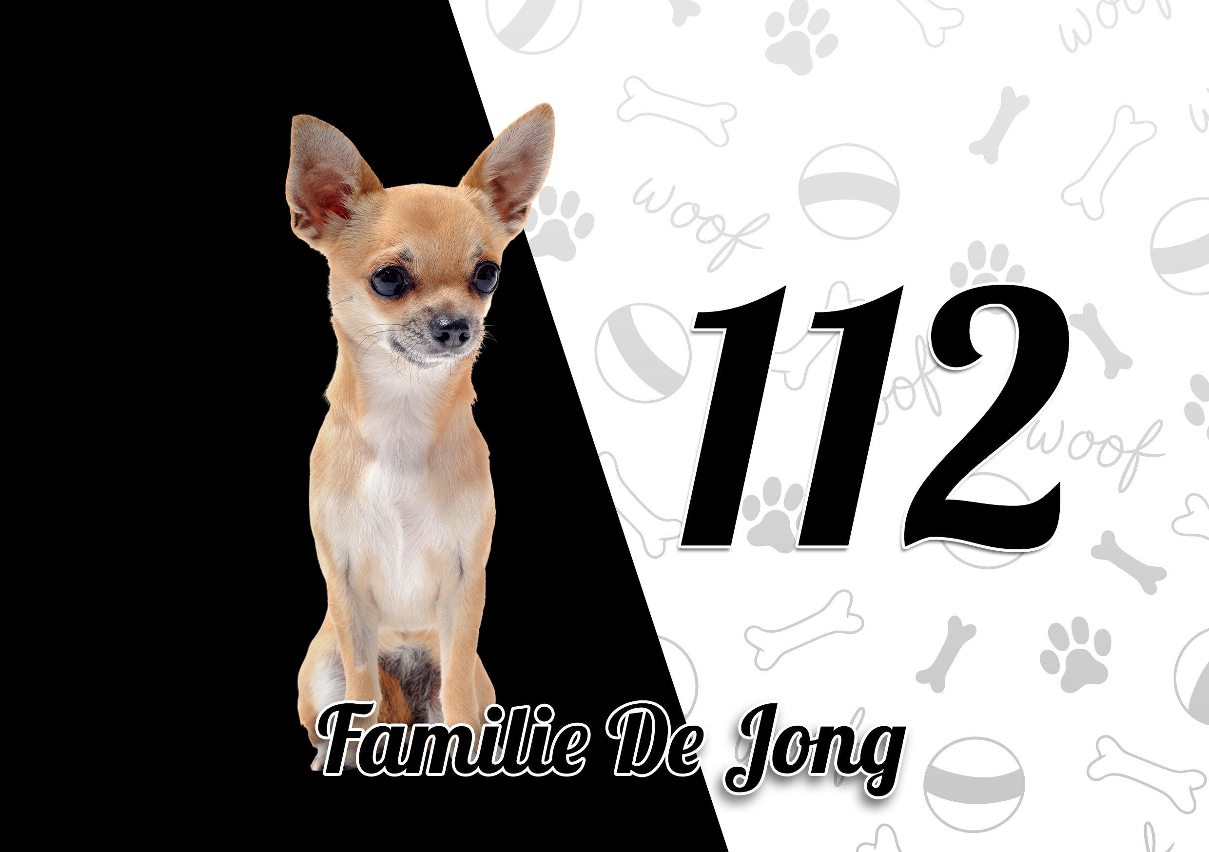 Chihuahua Naambordje 13