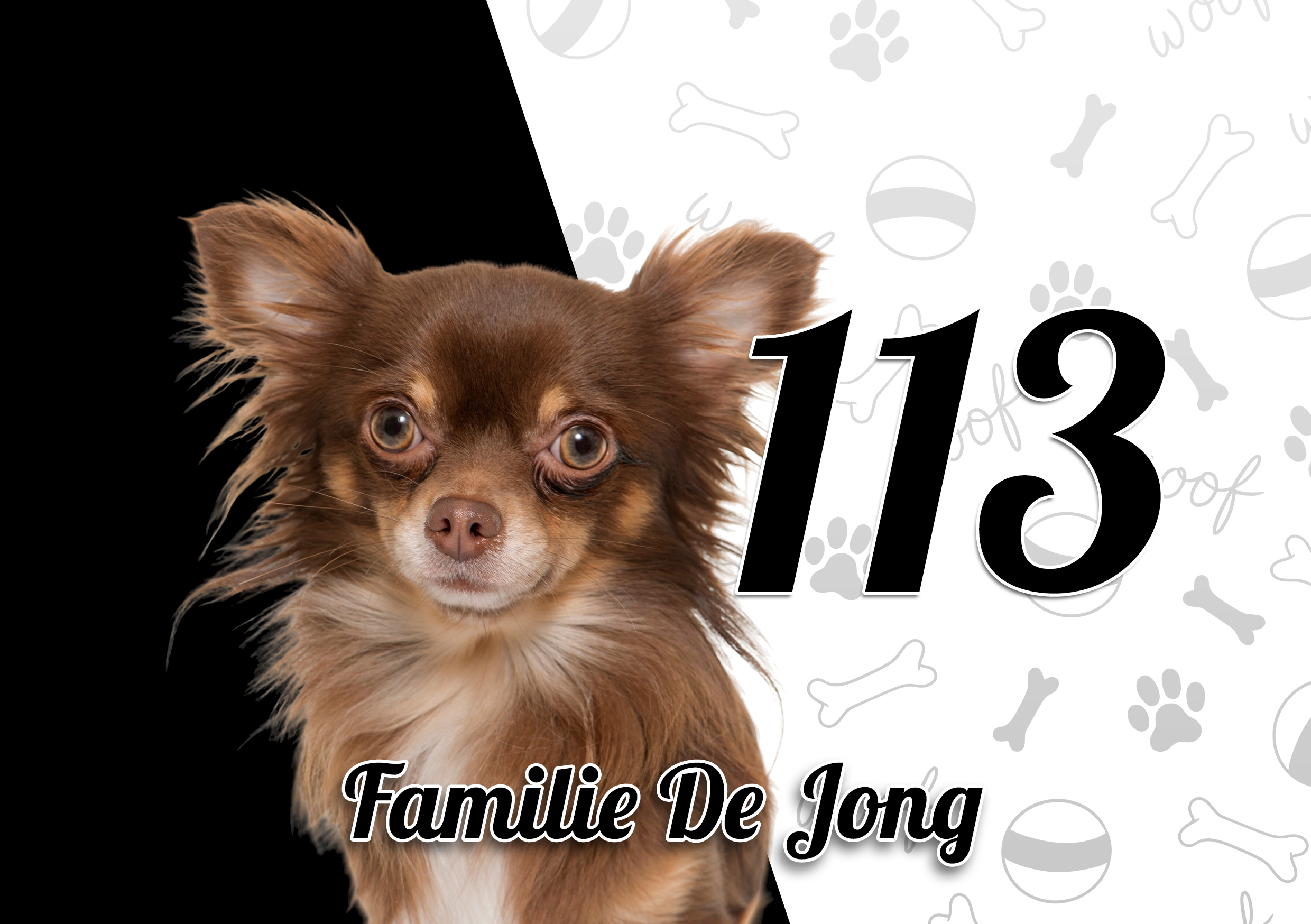 Chihuahua Naambordje 14