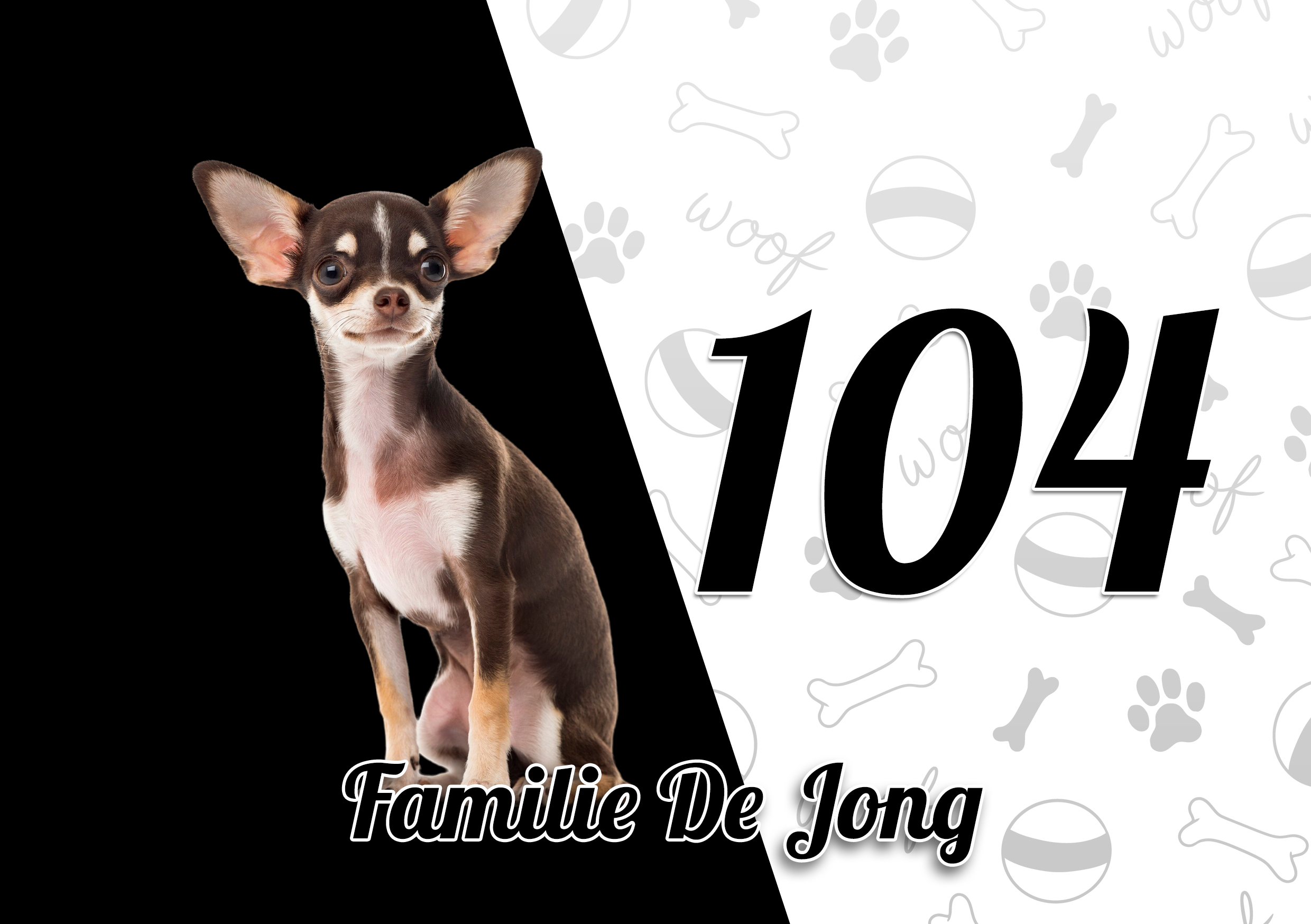 Chihuahua Naambordje 5
