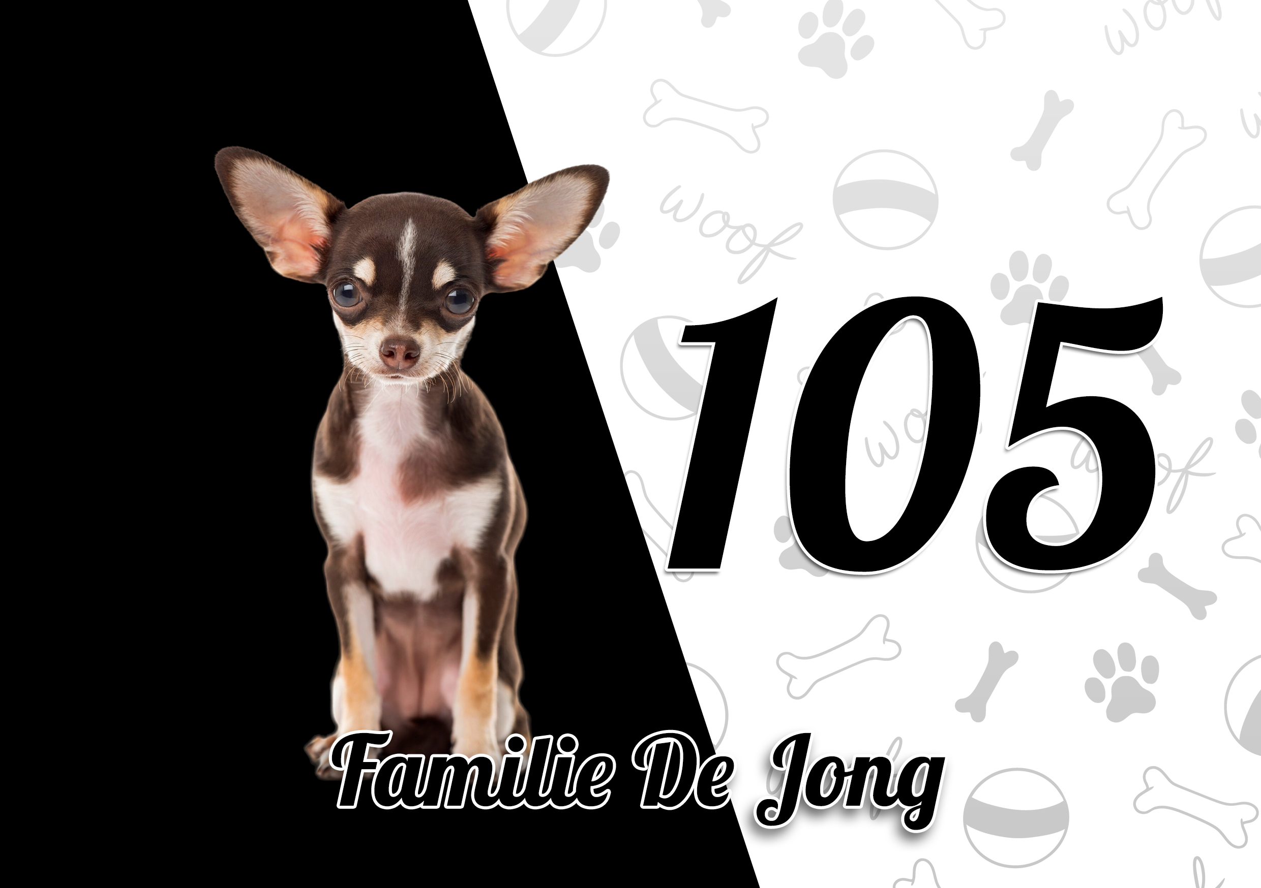 Chihuahua Naambordje 6