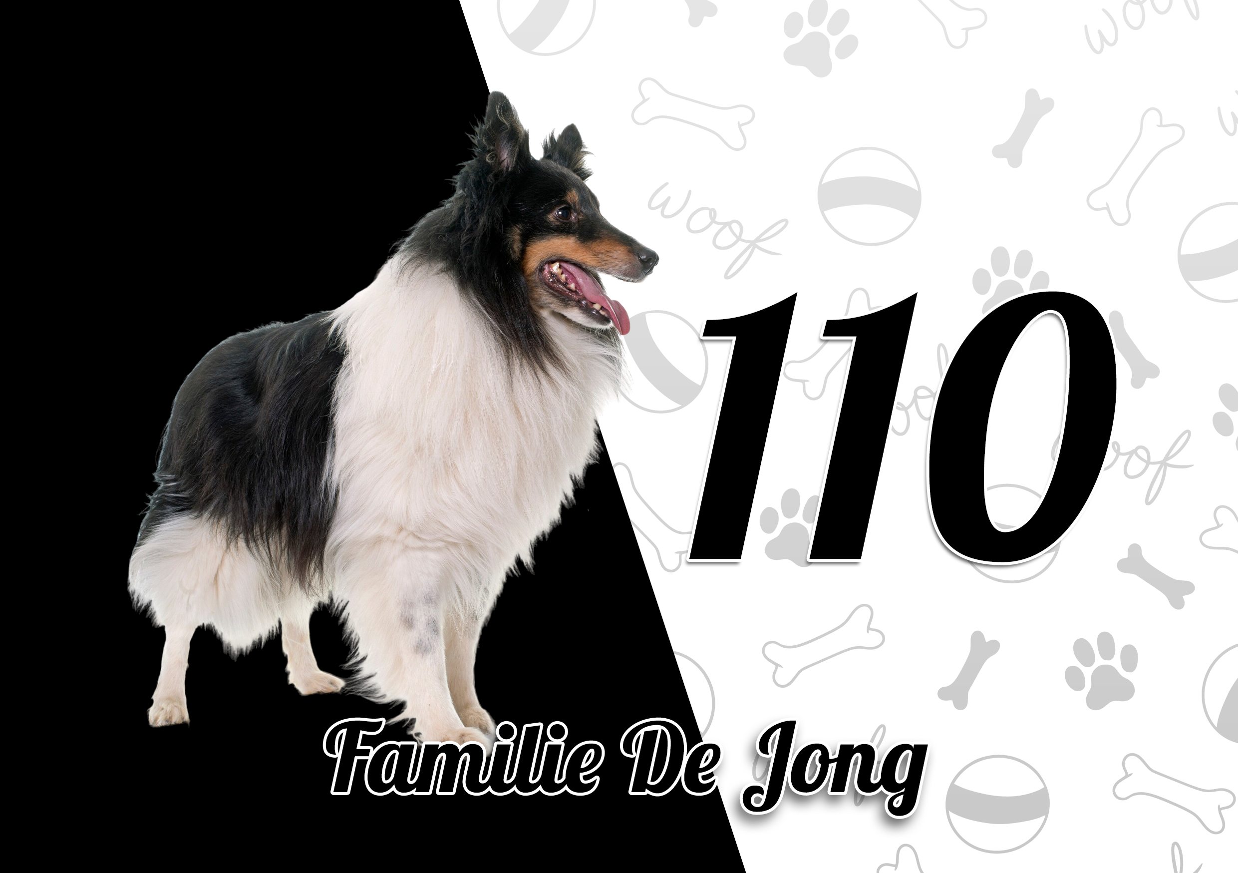 Collie Naambordje 1