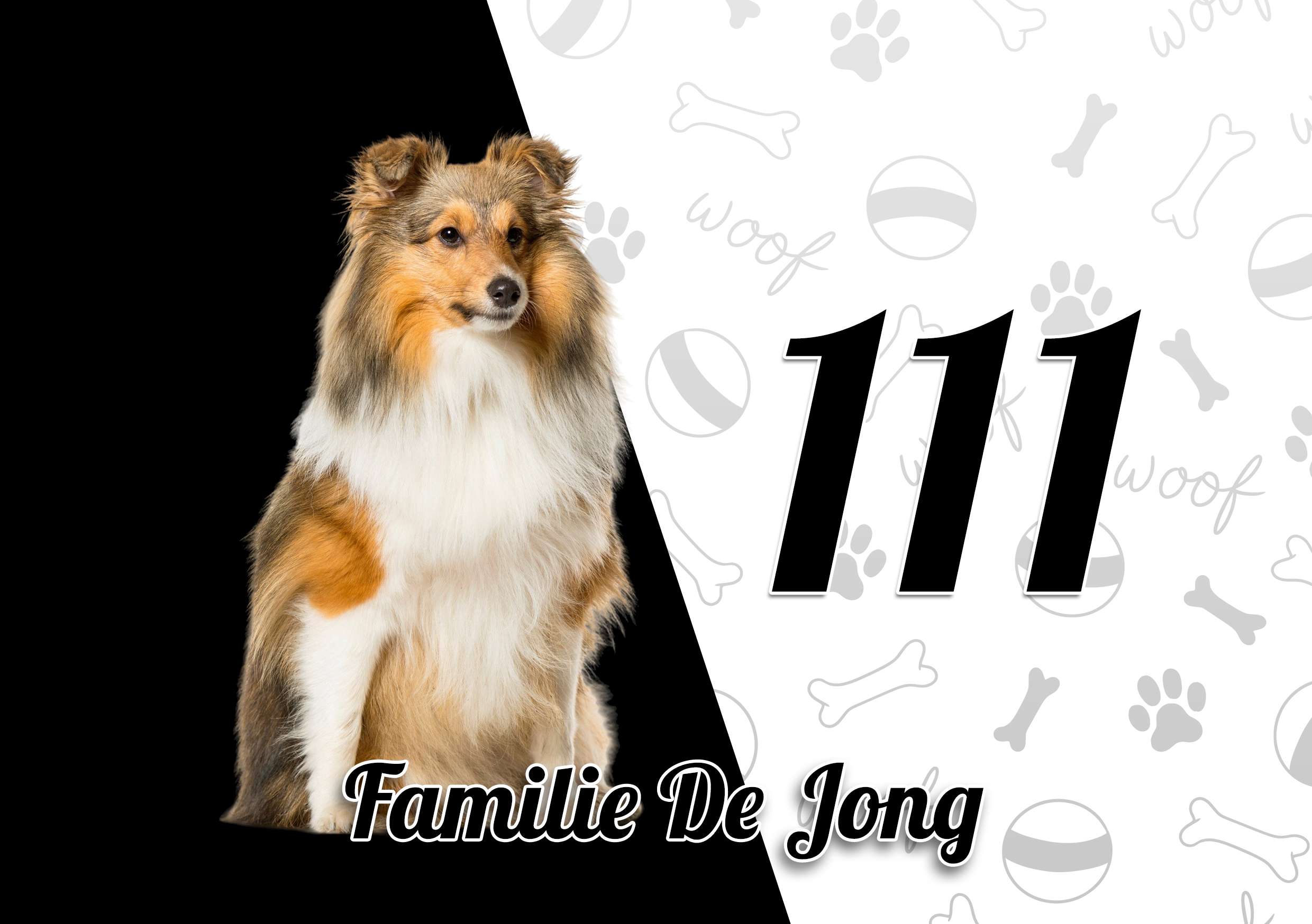 Collie Naambordje 2
